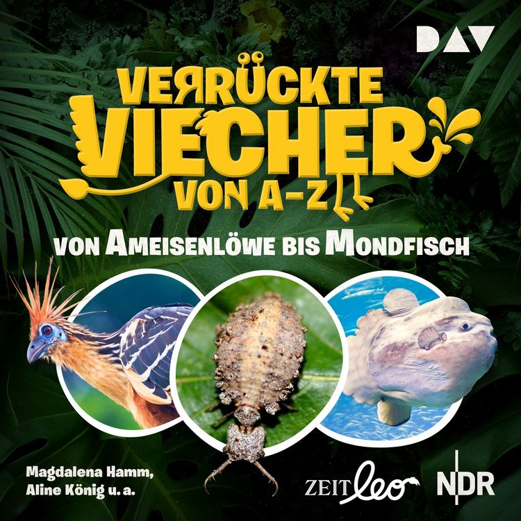 Produktbild: Verr&uuml;ckte Viecher von A bis Z &ndash; Teil 1: Von Ameisenl&ouml;we bis Mondfisch