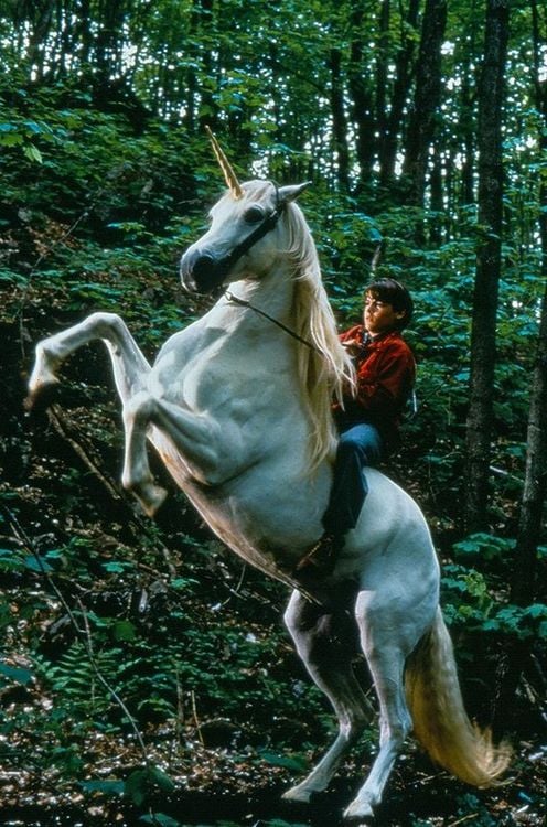 Produktbild: Nico, das Einhorn