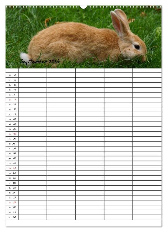Produktbild: Meerschweinchen und Kaninchen Familienplaner (hochwertiger Premium Wandkalender 2026 DIN A2 hoch), Kunstdruck in Hochglanz