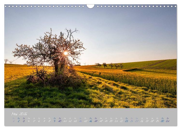 Produktbild: Ausfl&uuml;ge in der Heimat - Die Pfalz (Wandkalender 2026 DIN A3 quer), CALVENDO Monatskalender