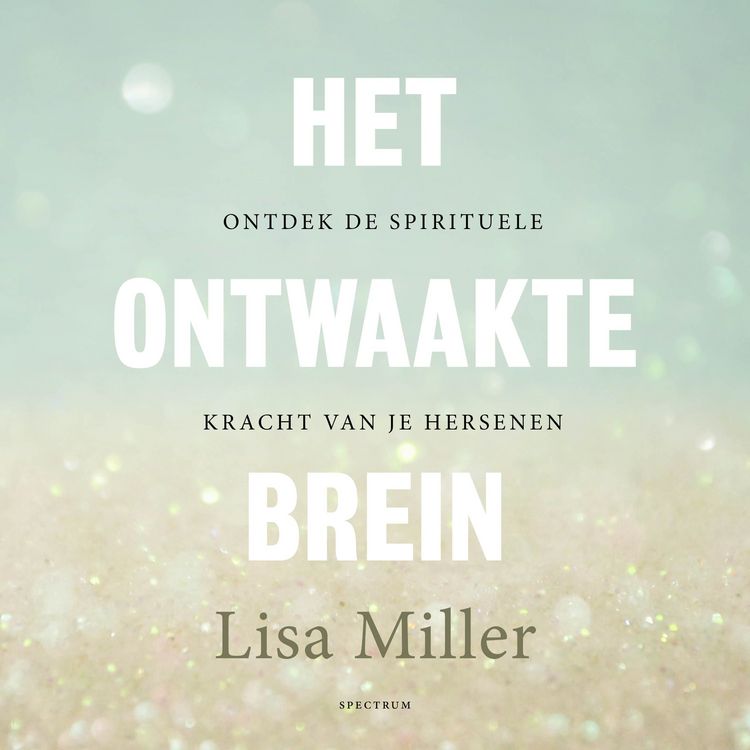 Produktbild: Het ontwaakte brein