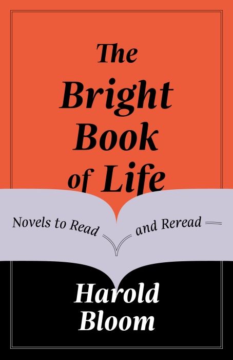 Produktbild: The Bright Book of Life
