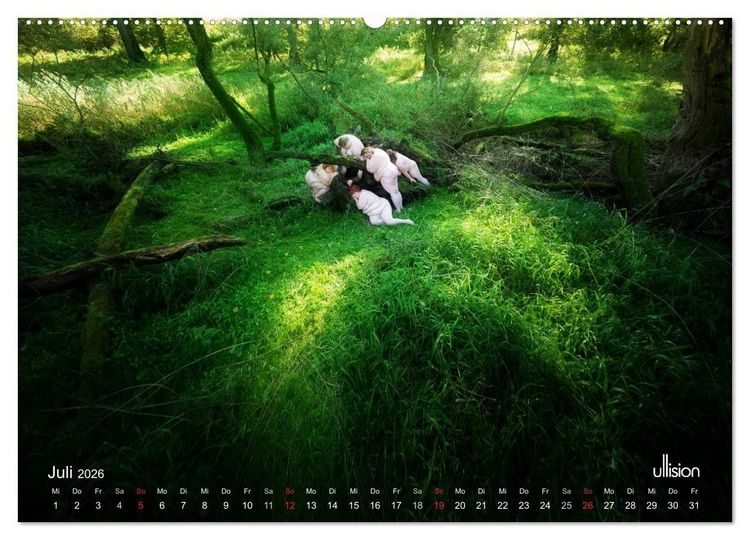 Produktbild: Mothers of Earth, das Leben kann soo prachtvoll sein ! (Wandkalender 2026 DIN A2 quer), CALVENDO Monatskalender
