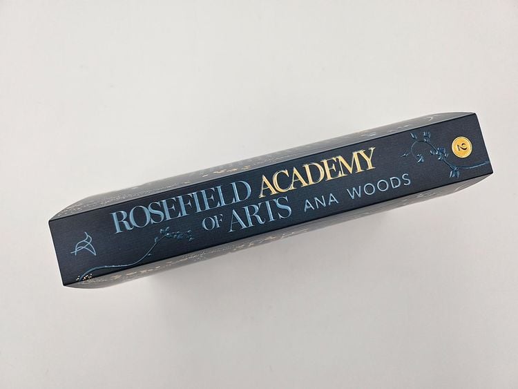 Produktbild: Rosefield Academy of Arts – The Promises We Make
