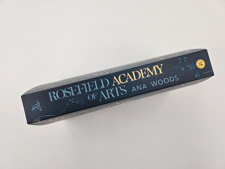 Produktbild: Rosefield Academy of Arts &ndash; The Promises We Make