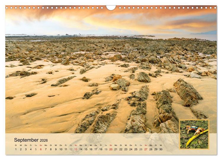 Produktbild: Costa Rica Dreams Tropische Naturwunder (Wandkalender 2026 DIN A3 quer), CALVENDO Monatskalender