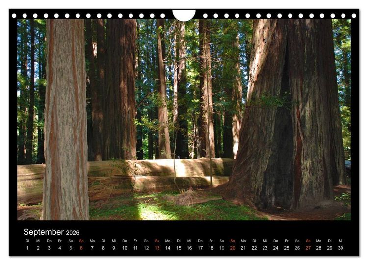 Produktbild: USA - Nordwesten (Wandkalender 2026 DIN A4 quer), CALVENDO Monatskalender