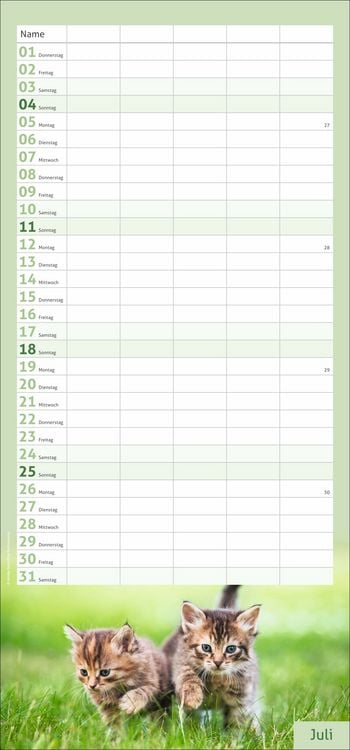 Produktbild: times&more Katzen Familienplaner 2027