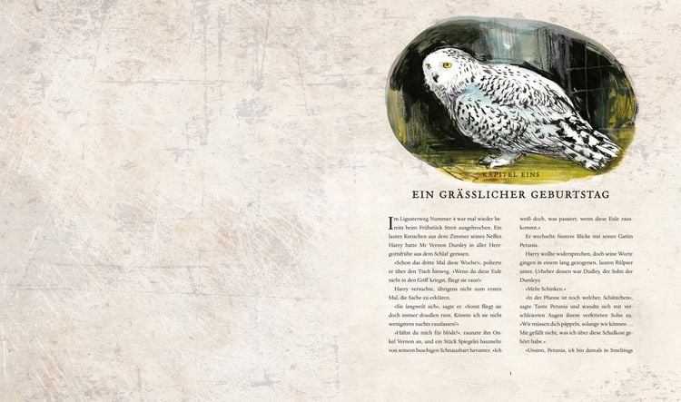 Produktbild: Harry Potter und die Kammer des Schreckens (farbig illustrierte Schmuckausgabe)