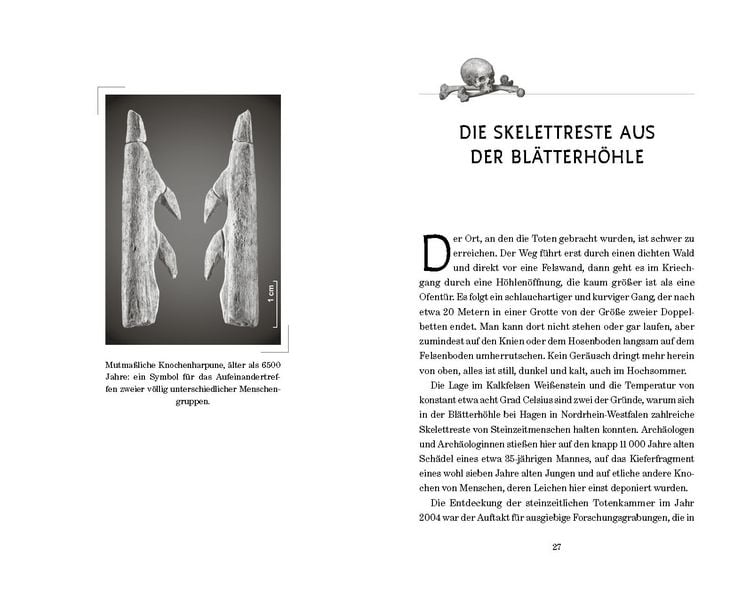 Produktbild: D&uuml;stere Geheimnisse