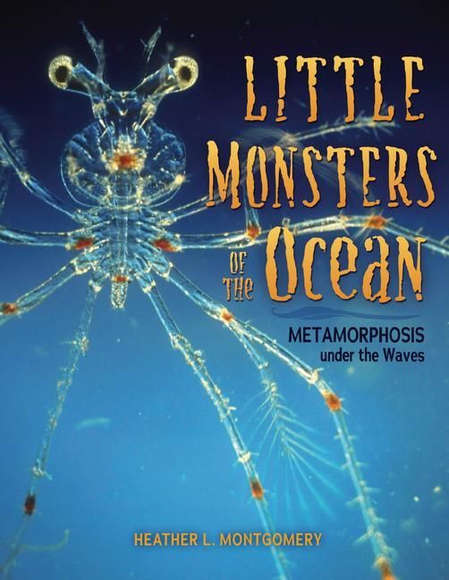 Produktbild: Little Monsters of the Ocean