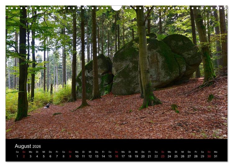 Produktbild: Rund um den Ochsenkopf (Wandkalender 2026 DIN A3 quer), CALVENDO Monatskalender