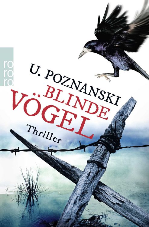 Produktbild: Blinde V&ouml;gel / Beatrice Kaspary und Florin Wenninger Bd. 2