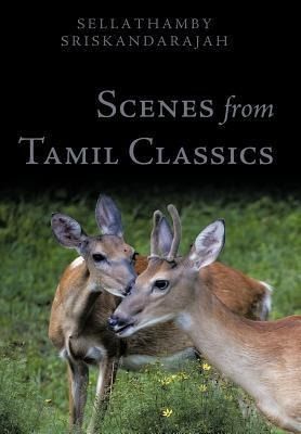 Produktbild: Scenes from Tamil Classics
