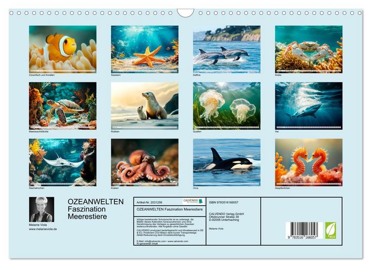 Produktbild: OZEANWELTEN Faszination Meerestiere (Wandkalender 2026 DIN A3 quer), CALVENDO Monatskalender