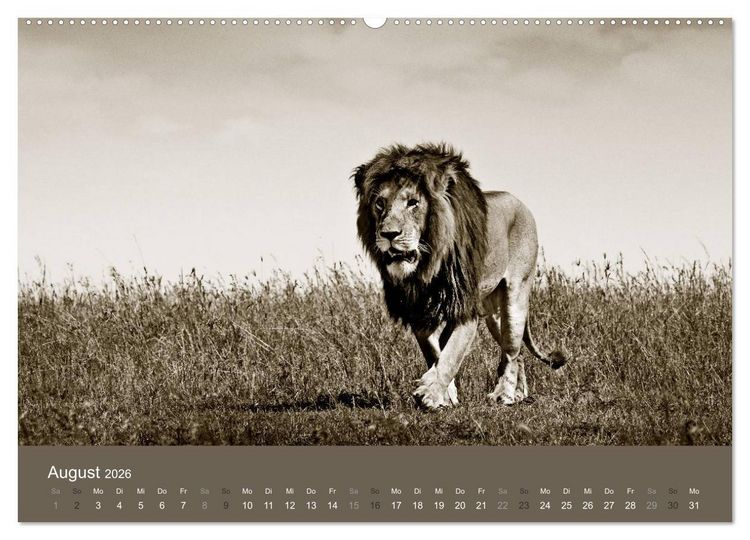 Produktbild: Wildes Afrika (hochwertiger Premium Wandkalender 2026 DIN A2 quer), Kunstdruck in Hochglanz