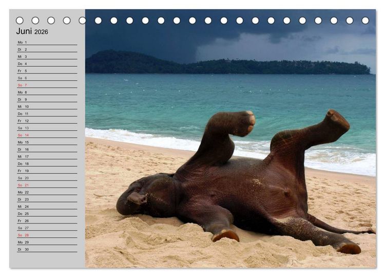 Produktbild: Elefanten. Spa&szlig; am Wasser (Tischkalender 2026 DIN A5 quer), CALVENDO Monatskalender