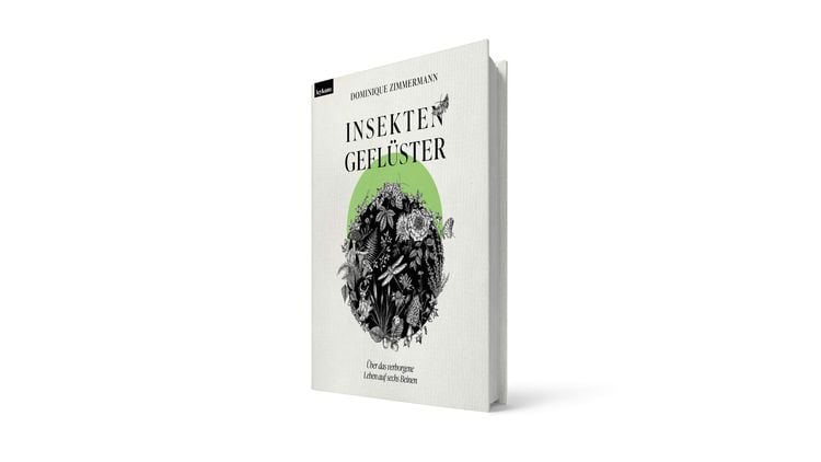 Produktbild: Insektengefl&uuml;ster - &Uuml;ber das verborgene Leben auf sechs Beinen