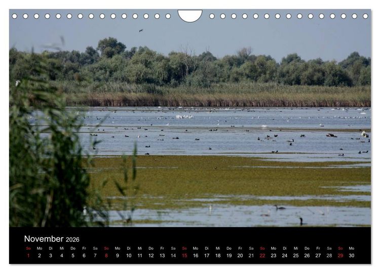 Produktbild: Donaudelta (Wandkalender 2026 DIN A4 quer), CALVENDO Monatskalender