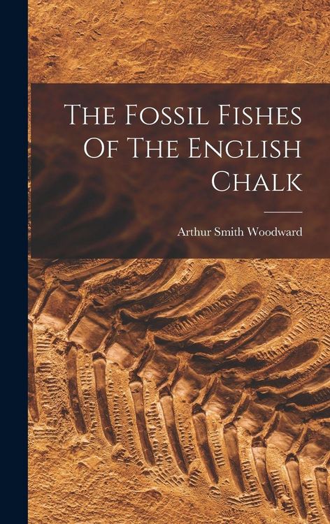 Produktbild: The Fossil Fishes Of The English Chalk