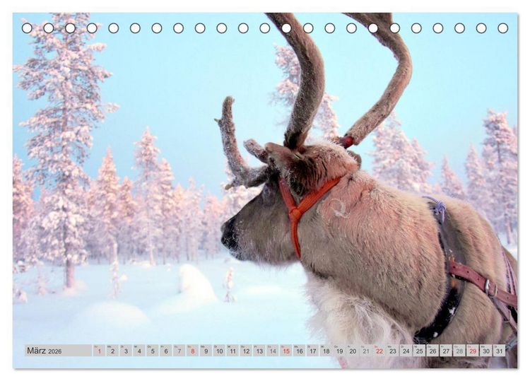 Produktbild: Zauberhaftes Finnland (Tischkalender 2026 DIN A5 quer), CALVENDO Monatskalender