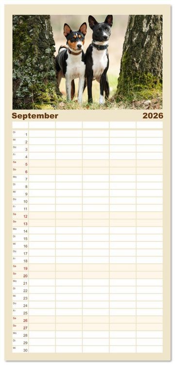 Produktbild: Familienplaner 2026 - Der Basenji mit 5 Spalten (Wandkalender, 21 x 45 cm) CALVENDO