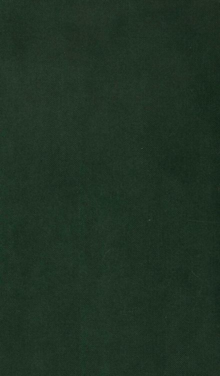 Produktbild: International Trade Theory in a Developing World