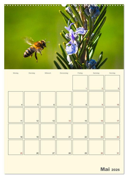 Produktbild: Bienen im Naturgarten (Wandkalender 2026 DIN A2 hoch), CALVENDO Monatskalender