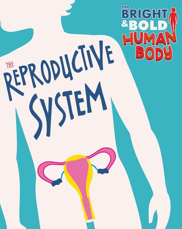 Produktbild: Newland, S: Bright and Bold Human Body: The Reproductive Sys