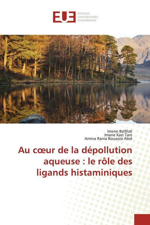 Produktbild: Au c&iquest;ur de la d&eacute;pollution aqueuse : le r&ocirc;le des ligands histaminiques