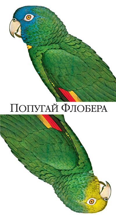 Produktbild: Popugay Flobera