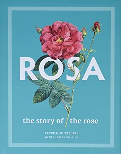 Produktbild: Rosa