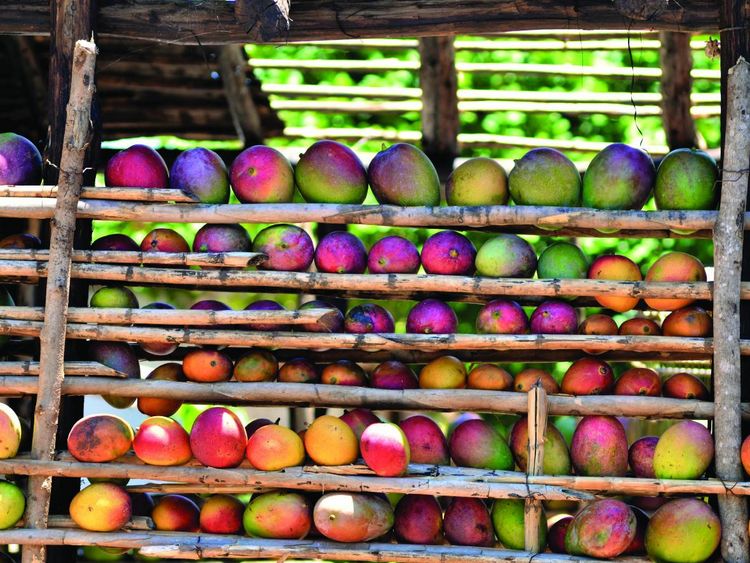 Produktbild: Cuba: The Cookbook