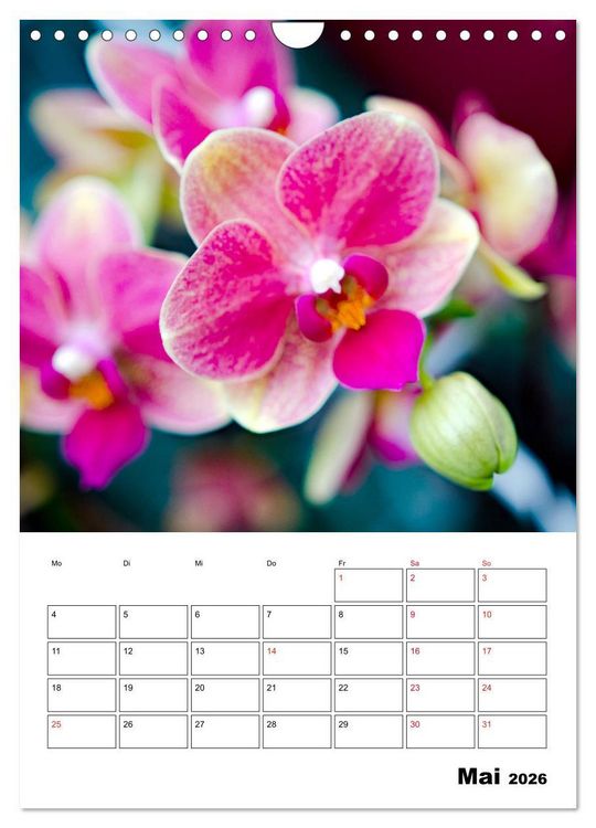 Produktbild: Orchideen - Tropische Sch&ouml;nheiten (Wandkalender 2026 DIN A4 hoch), CALVENDO Monatskalender