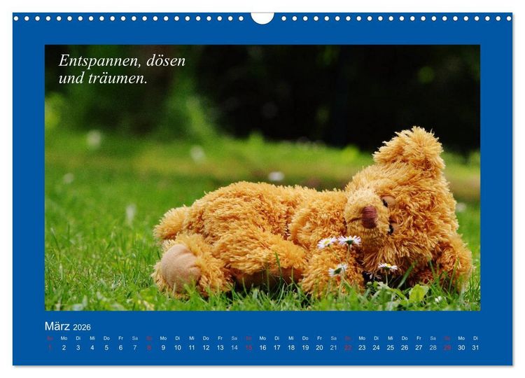 Produktbild: Sommer im Teddy-Land. B&auml;r und Freunde (Wandkalender 2026 DIN A3 quer), CALVENDO Monatskalender