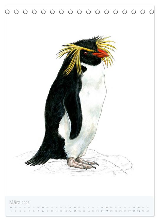 Produktbild: Pinguine - 13 Illustrationen (Tischkalender 2026 DIN A5 hoch), CALVENDO Monatskalender