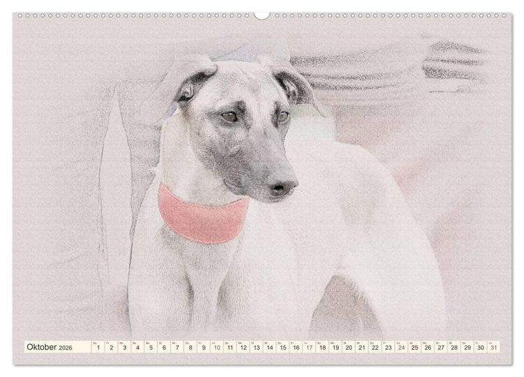 Produktbild: Windhunde 2026 (hochwertiger Premium Wandkalender 2026 DIN A2 quer), Kunstdruck in Hochglanz