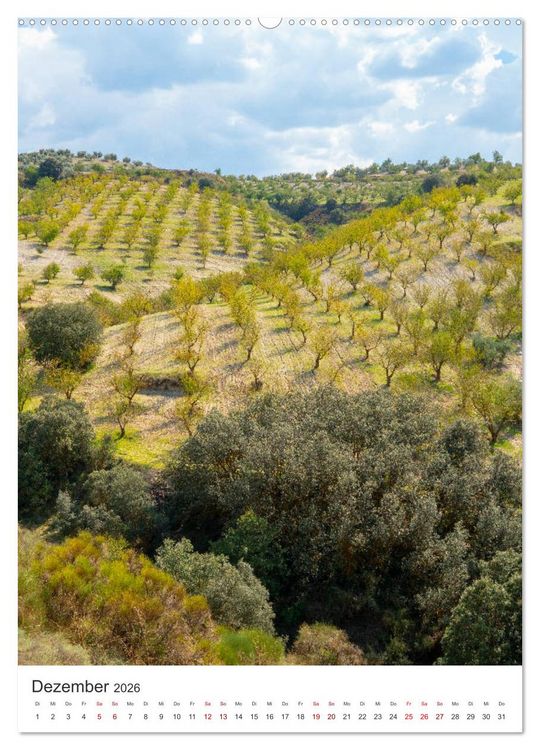 Produktbild: Sch&ouml;nes Andalusien (hochwertiger Premium Wandkalender 2026 DIN A2 hoch), Kunstdruck in Hochglanz