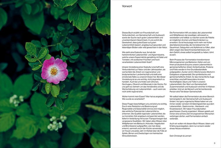 Produktbild: Fermentiert