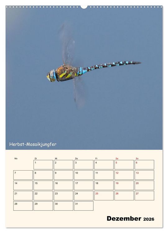 Produktbild: Libellen - Flugk&uuml;nstler in Bayern (Wandkalender 2026 DIN A2 hoch), CALVENDO Monatskalender
