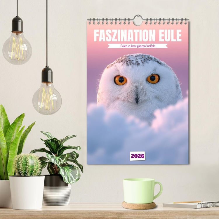 Produktbild: Faszination Eule - Eulen in ihrer ganzen Vielfalt (Wandkalender 2026 DIN A4 hoch), CALVENDO Monatskalender