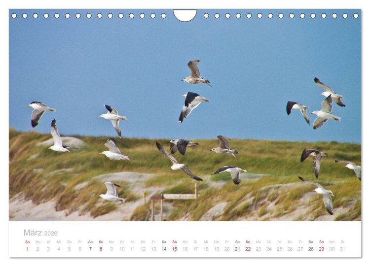 Produktbild: Sylt im Herbst (Wandkalender 2026 DIN A4 quer), CALVENDO Monatskalender