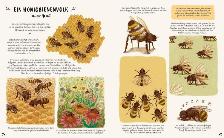 Produktbild: Wunder der Natur zum Innehalten und Staunen