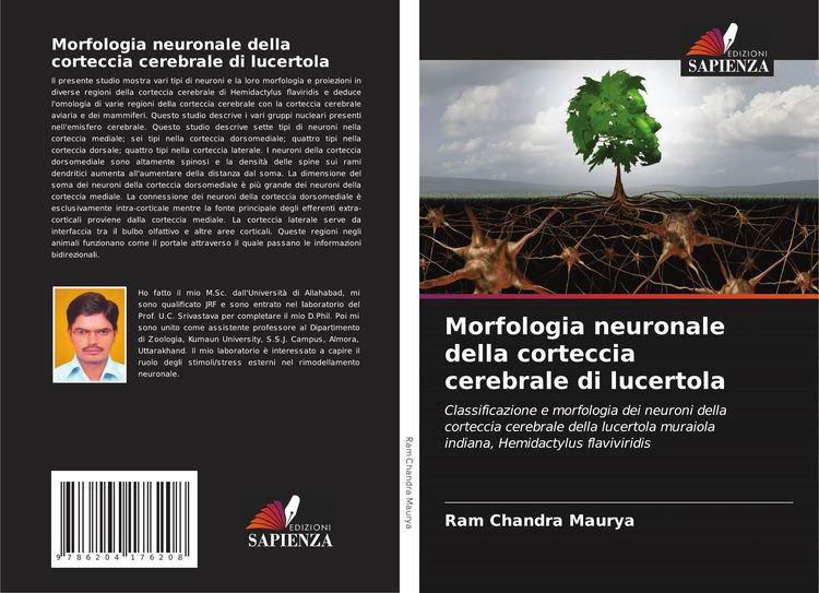 Produktbild: Morfologia neuronale della corteccia cerebrale di lucertola