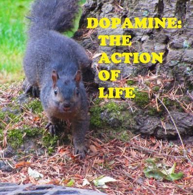 Produktbild: Dopamine, the Action of Life