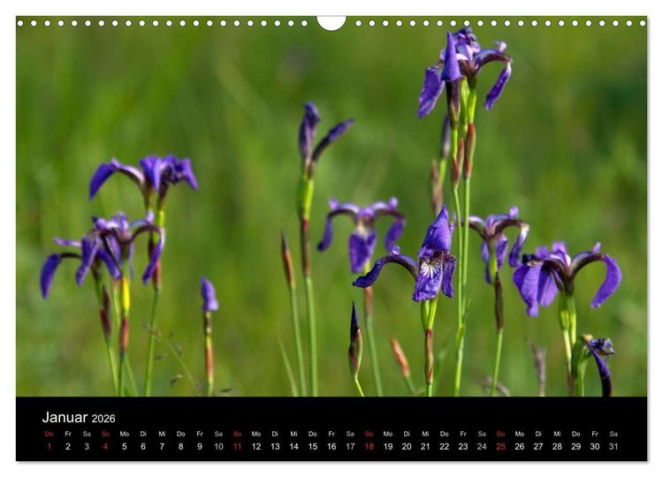 Produktbild: Sibirien- Impressionen von der Lena (Wandkalender 2026 DIN A3 quer), CALVENDO Monatskalender