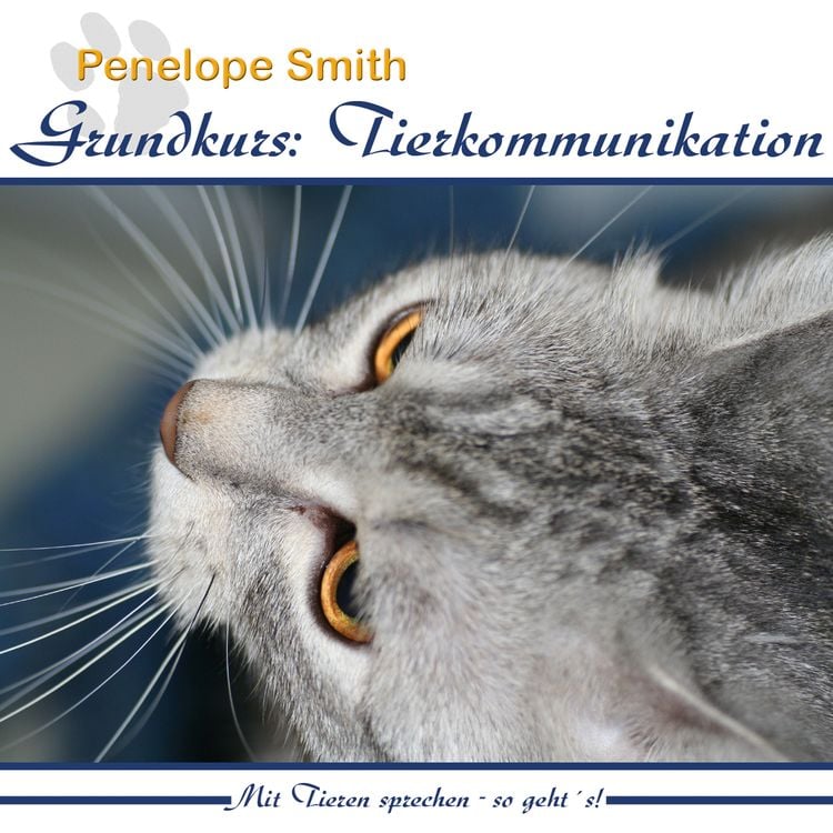 Produktbild: Grundkurs: Tierkommunikation