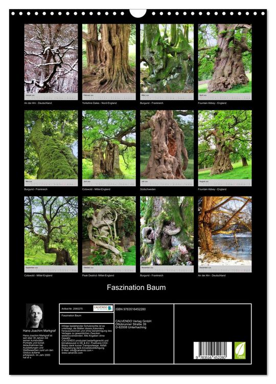 Produktbild: Faszination Baum (Wandkalender 2026 DIN A3 hoch), CALVENDO Monatskalender
