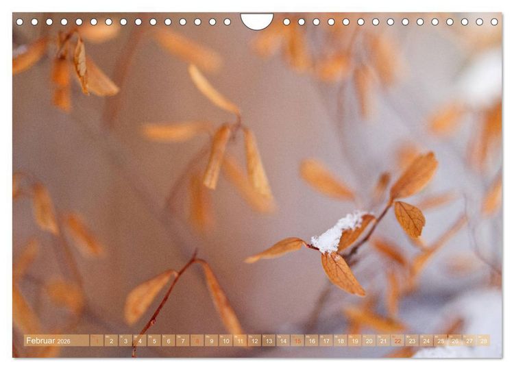Produktbild: Die Poesie der Pflanzenwelt - Im Wandel der Jahreszeiten (Wandkalender 2026 DIN A4 quer), CALVENDO Monatskalender