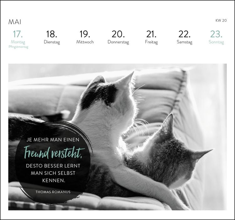 Produktbild: Postkartenkalender 2027: Inspirierende Worte f&uuml;r Katzenfreunde